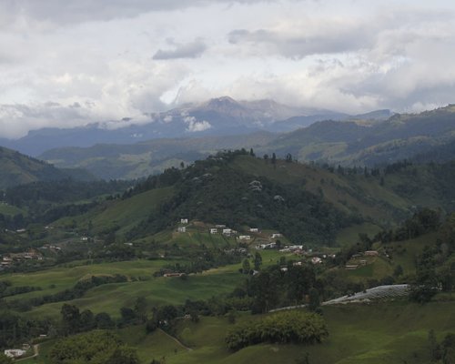 coffee landscape in the Colombian coffee region